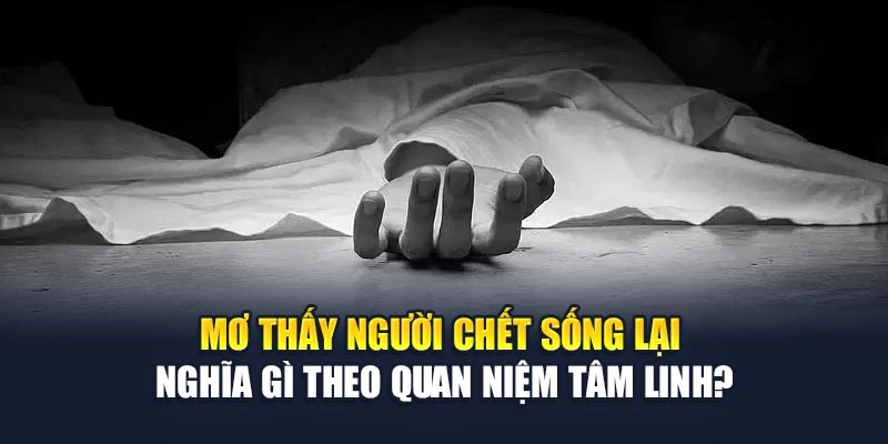 Mơ Thấy Người Chết Sống Lại Nghĩa Gì? Giải mã Thông Điệp 5 Mơ thấy người chết sống lại nghĩa gì theo quan niệm tâm linh